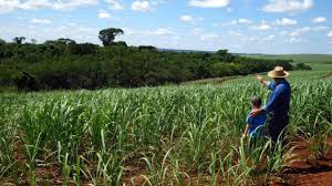 SUCESSÃO FAMILIAR. EMPRESAS AGRO E PRODUTORES RURAIS