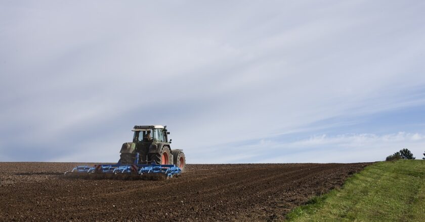 CONTRATOS E NEGOCIAÇÕES BANCÁRIAS NO AGRONEGÓCIO