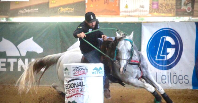 Categoria Masculino/Patrocinador Haras El Shadday denominado garanhão Dunamis Dash