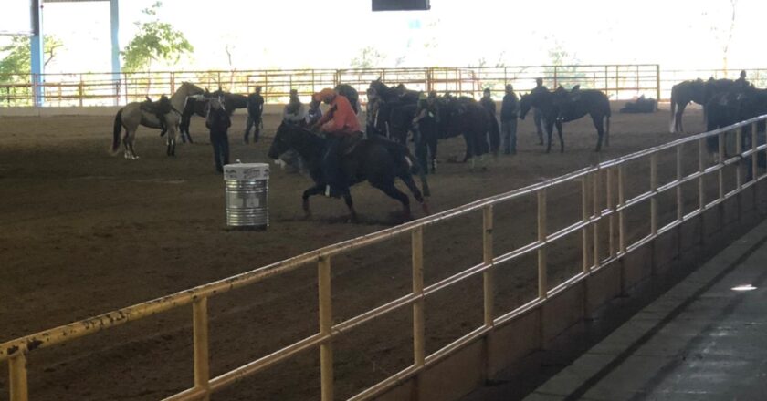 Já está acontecendo na pista do Haras Raphaela a Clínica com o recordista mundial Sidnei Júnior.