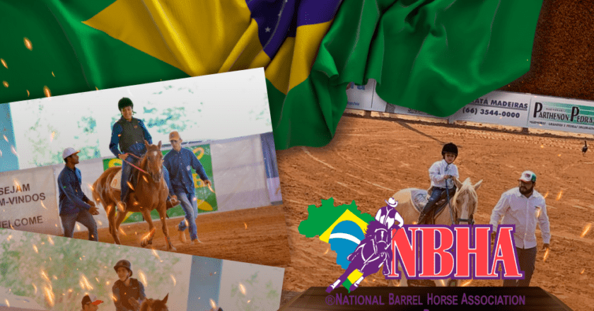 HARAS JAMAICA unindo forças com a NBHA BRAZIL para incentivo da categoria PARAEQUESTRE