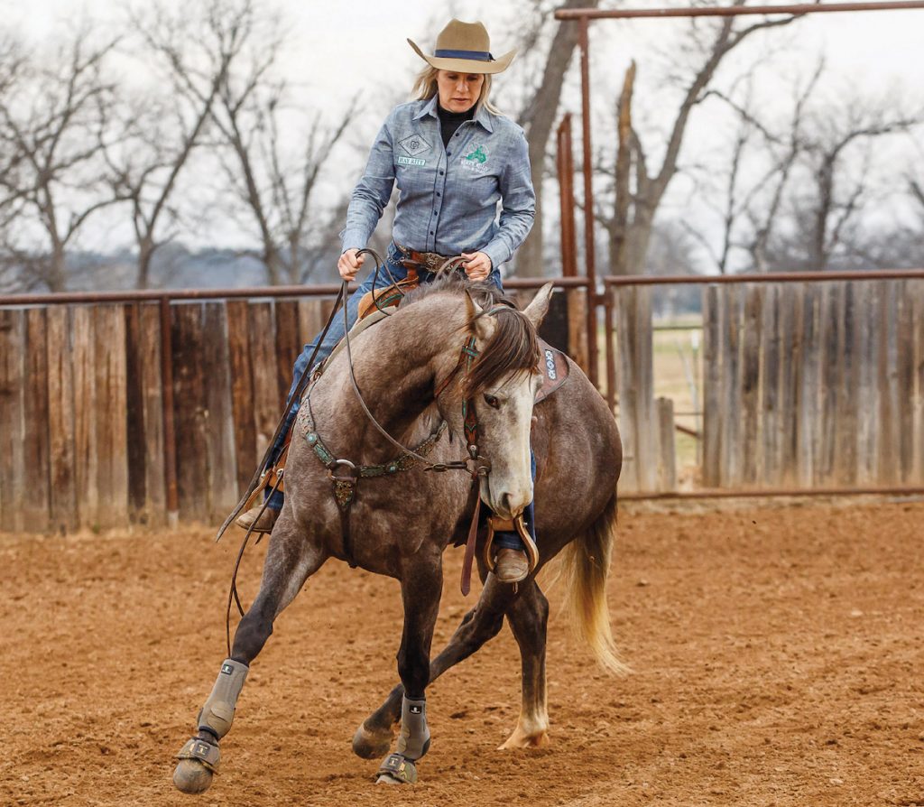 Cavalo Levantando Os Pés Da Frente Dentro De Um Contorno De