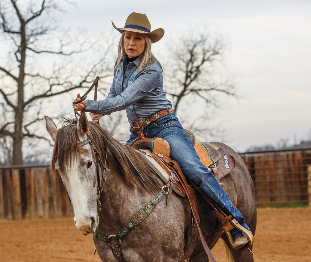 Cavalo Levantando Os Pés Da Frente Dentro De Um Contorno De