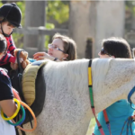 Governo recebe doação de cavalos para atividades de equoterapia