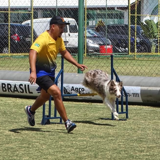 Provas de Agility e Tambor Dog unem duas paixões dos tamborzeiros na Super  Semana do Tamb - NBHA BRAZIL