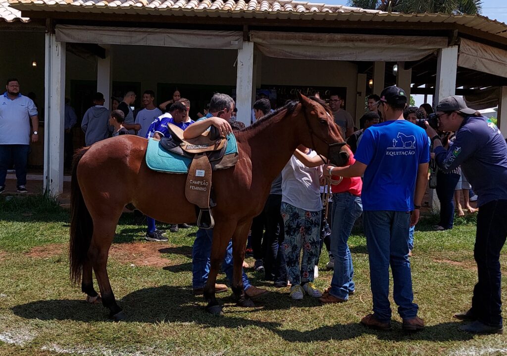 Caruana e Promissão fazem 17° leilão de Quarto de Milha