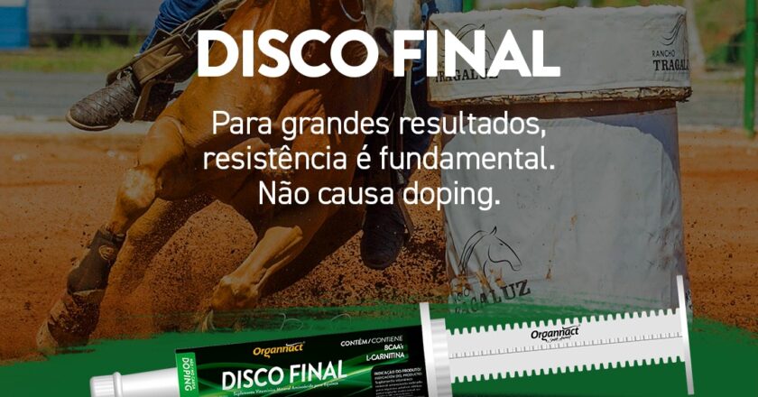 Disco Final