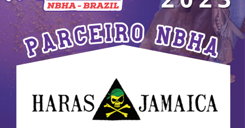 3ª ETAPA VII COPA AVARÉ TAMBOR & BALIZA – HARAS JAMAICA