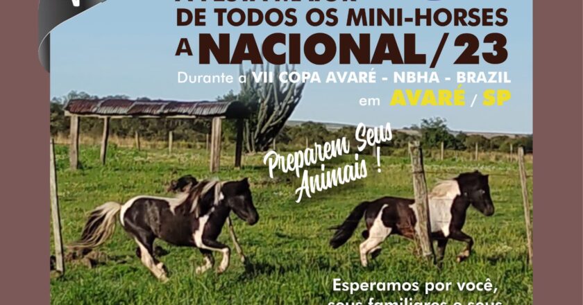 A parceira, ABCMINI-HORSE com a NBHA BRAZIL