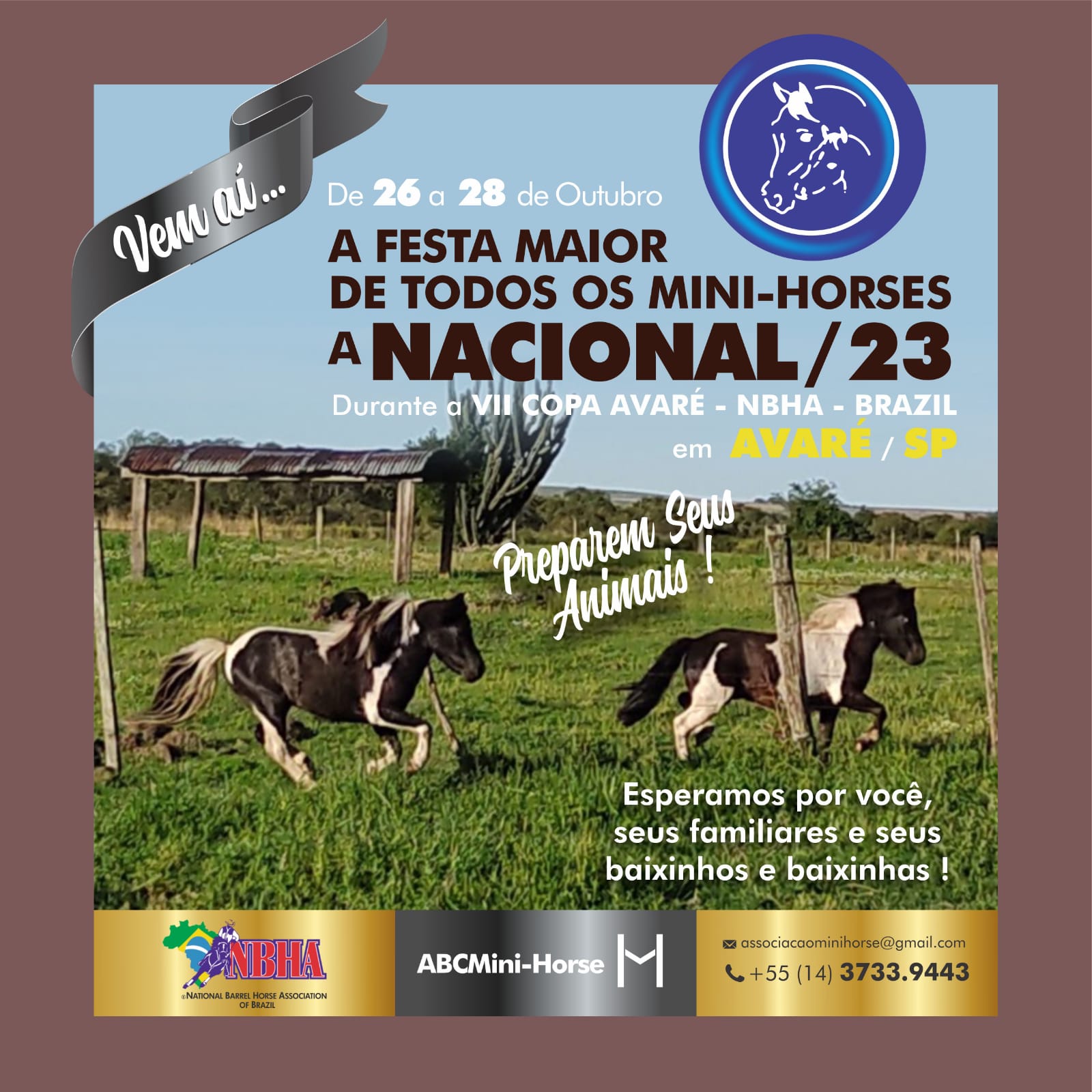 vendo cavalo frente aberta 🥇 【 OFERTAS 】