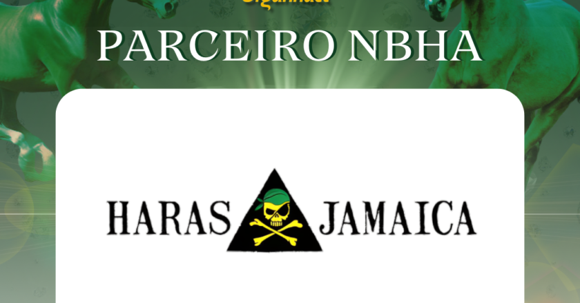 10ª EDIÇÃO SUPER SEMANA DO TAMBOR NBHA – ORGANNACT, “HARAS JAMAICA”