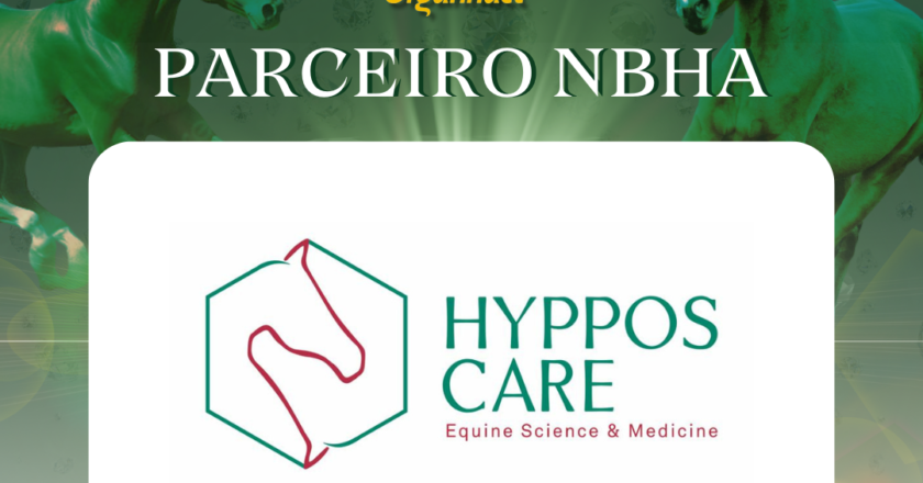 10ª EDIÇÃO SUPER SEMANA DO TAMBOR NBHA – ORGANNACT, “HYPPOS CARE”