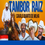 TAMBOR RAIZ – CAVALO QUARTO DE MILHA