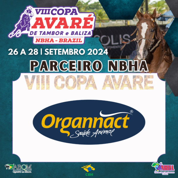 2ª ETAPA VIII COPA AVARÉ TAMBOR & BALIZA – ORGANNACT