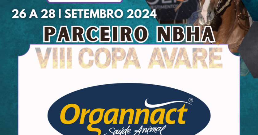 2ª ETAPA VIII COPA AVARÉ TAMBOR & BALIZA – ORGANNACT