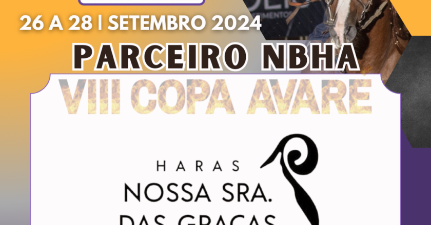 3ª ETAPA VIII COPA AVARÉ TAMBOR & BALIZA – HARAS NOSSA SENHORA DAS GRAÇAS