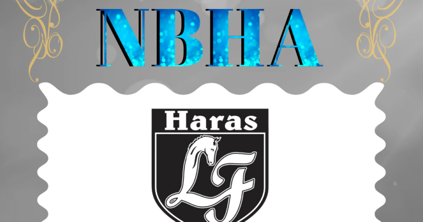 PARCEIRO NBHA – HARAS LF