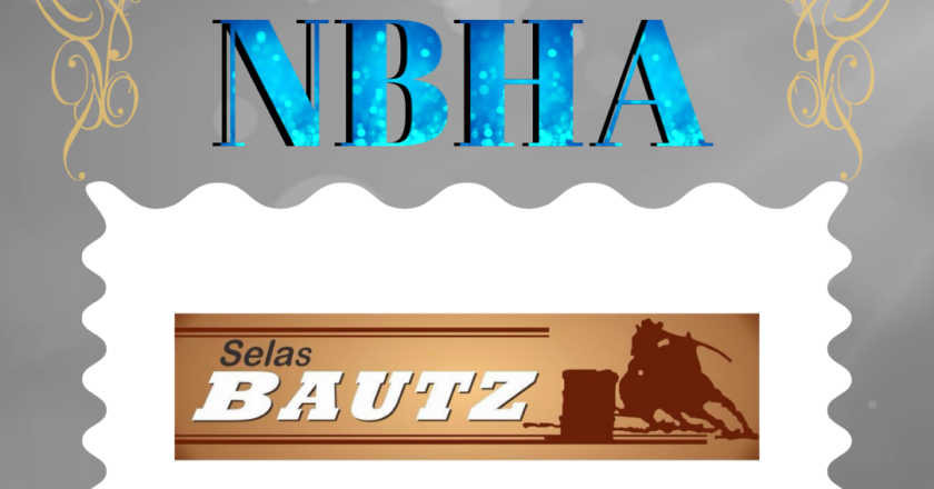 PARCEIRO NBHA – SELAS BAUTZ