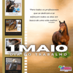 1ª DE MAIO – DIA DO TRABALHO