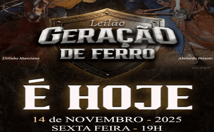 LEILÃO GERAÇÃO DE FERRO