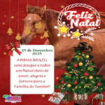 FELIZ NATAL