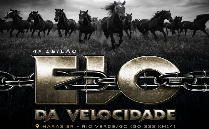 4º LEILÃO ELO DA VELOCIDADE